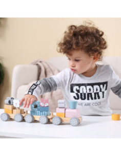 Kolorowa Kolejka Viga Toys 2