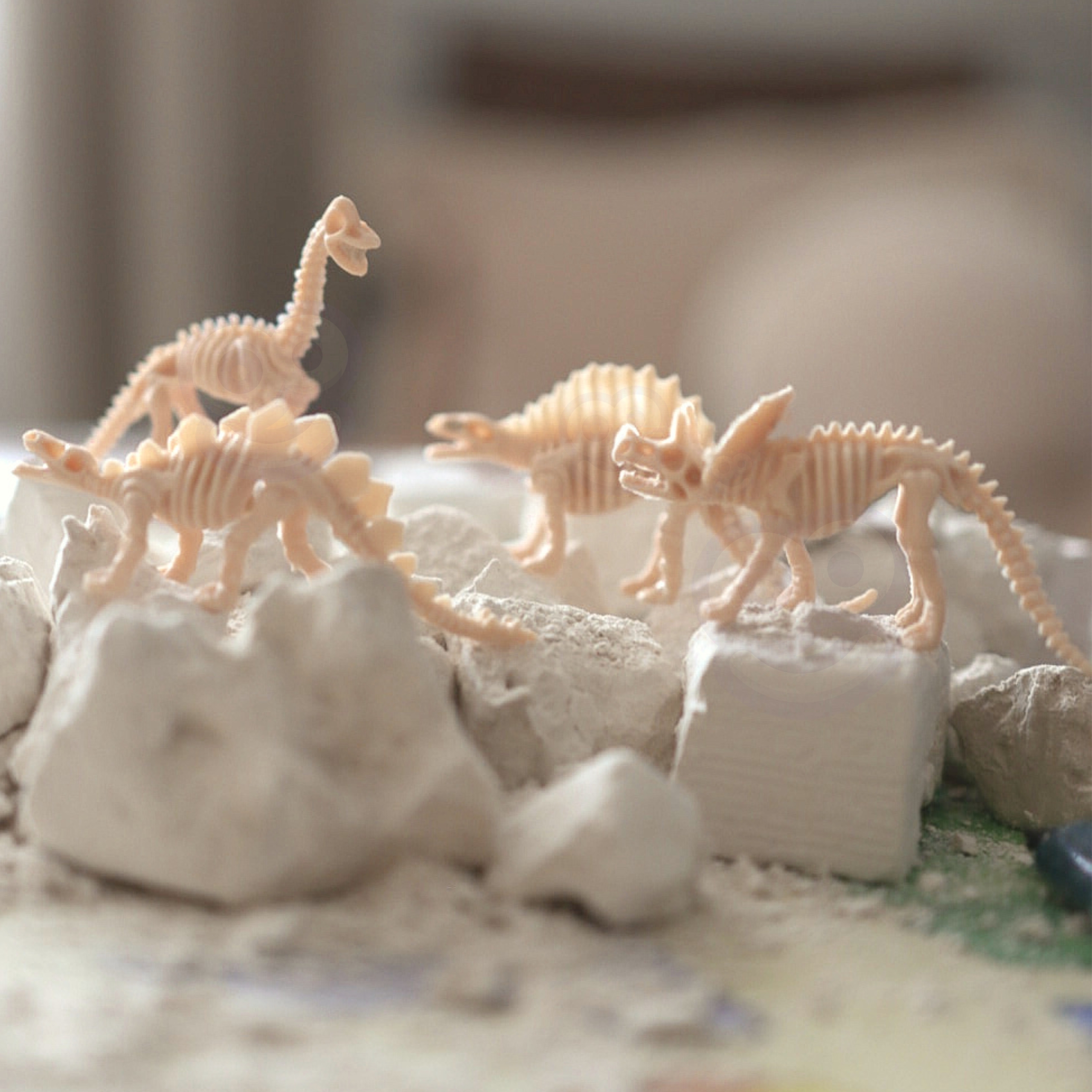 Wykopalisko "mały archeolog" 6 szkieletów dinozaurów