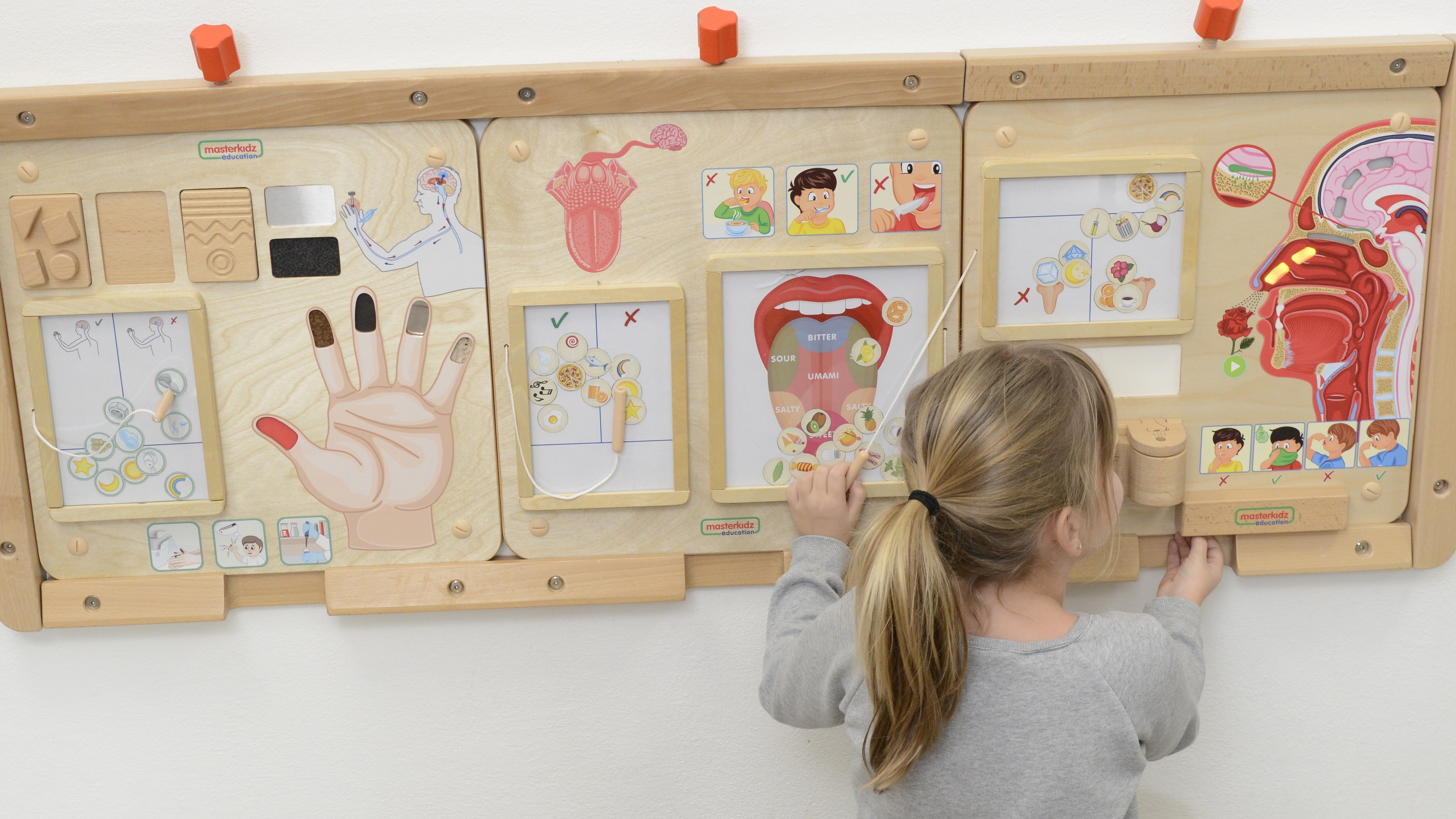 Tablica edukacyjna zmysł węchu montessori