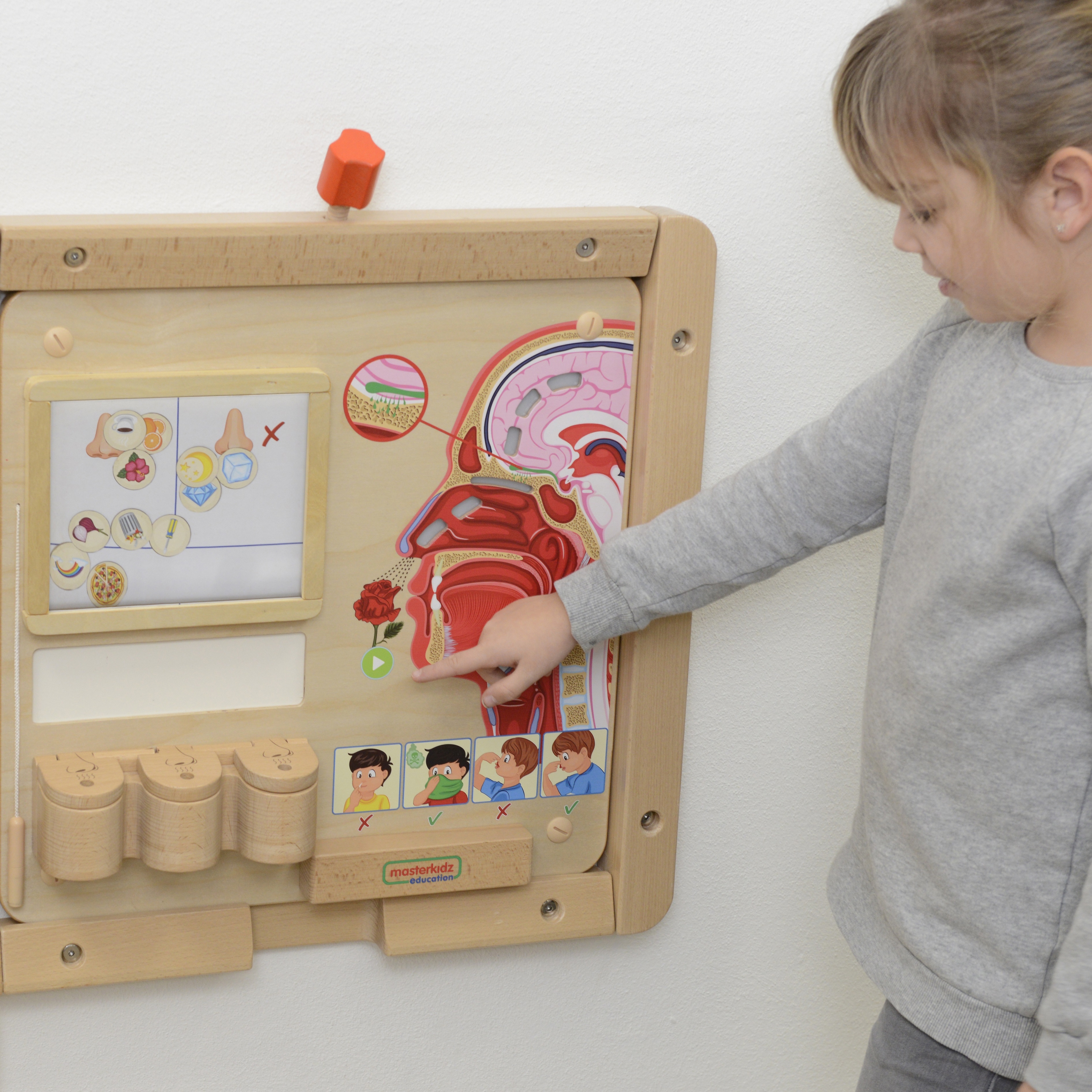 Tablica edukacyjna zmysł węchu montessori