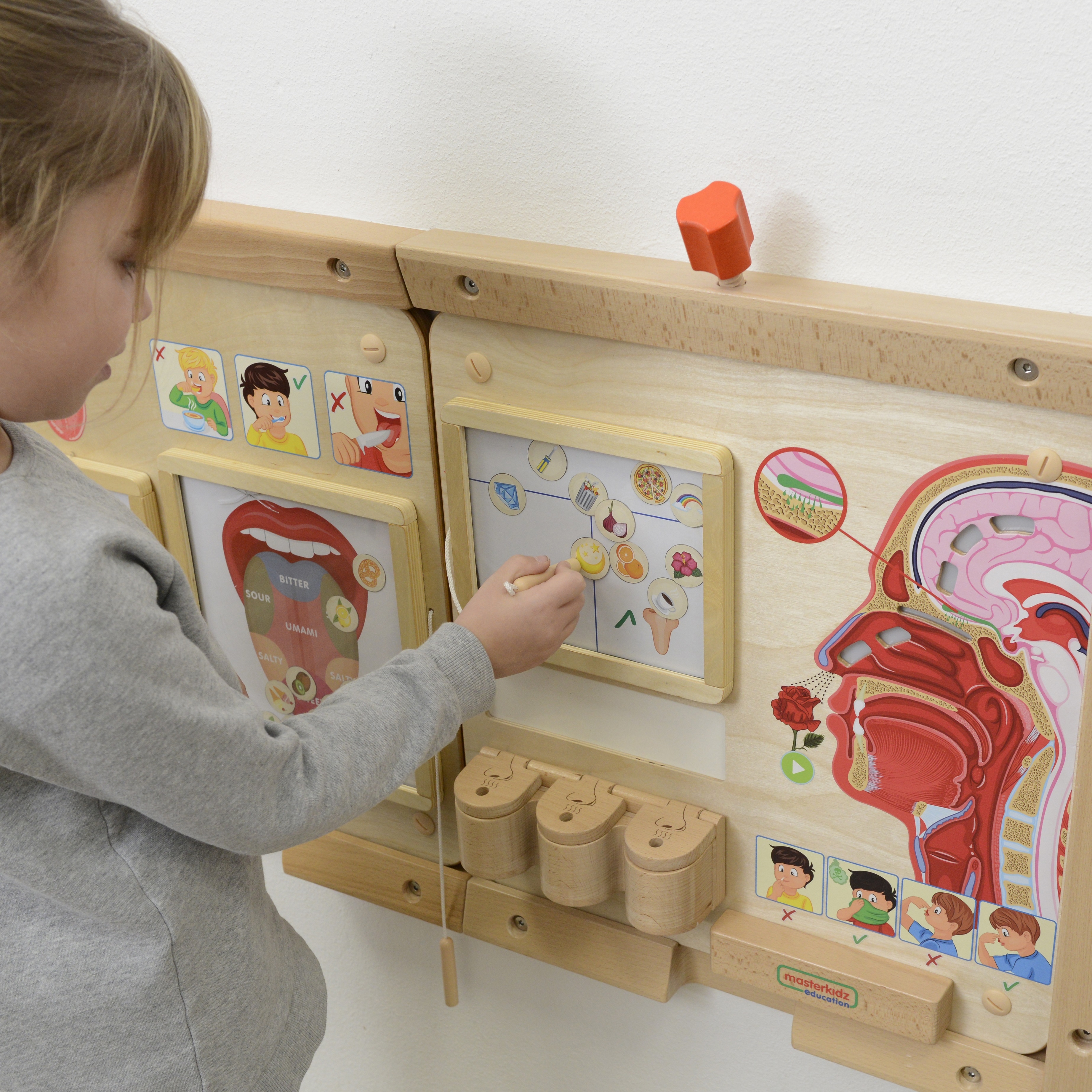 Tablica edukacyjna zmysł węchu montessori