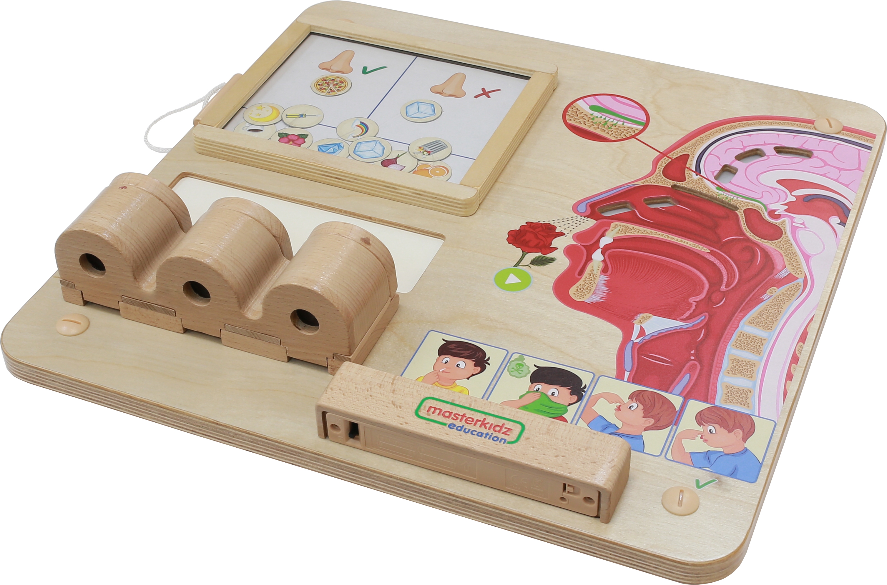 Tablica edukacyjna zmysł węchu montessori