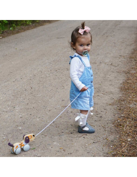 Viga PolarB Drewniany Piesek do Ciągnięcia