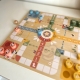 WOOPIE GREEN Gry Planszowe Logiczne 2w1 Ludo Chińczyk + Uwolnij Zwierzątka