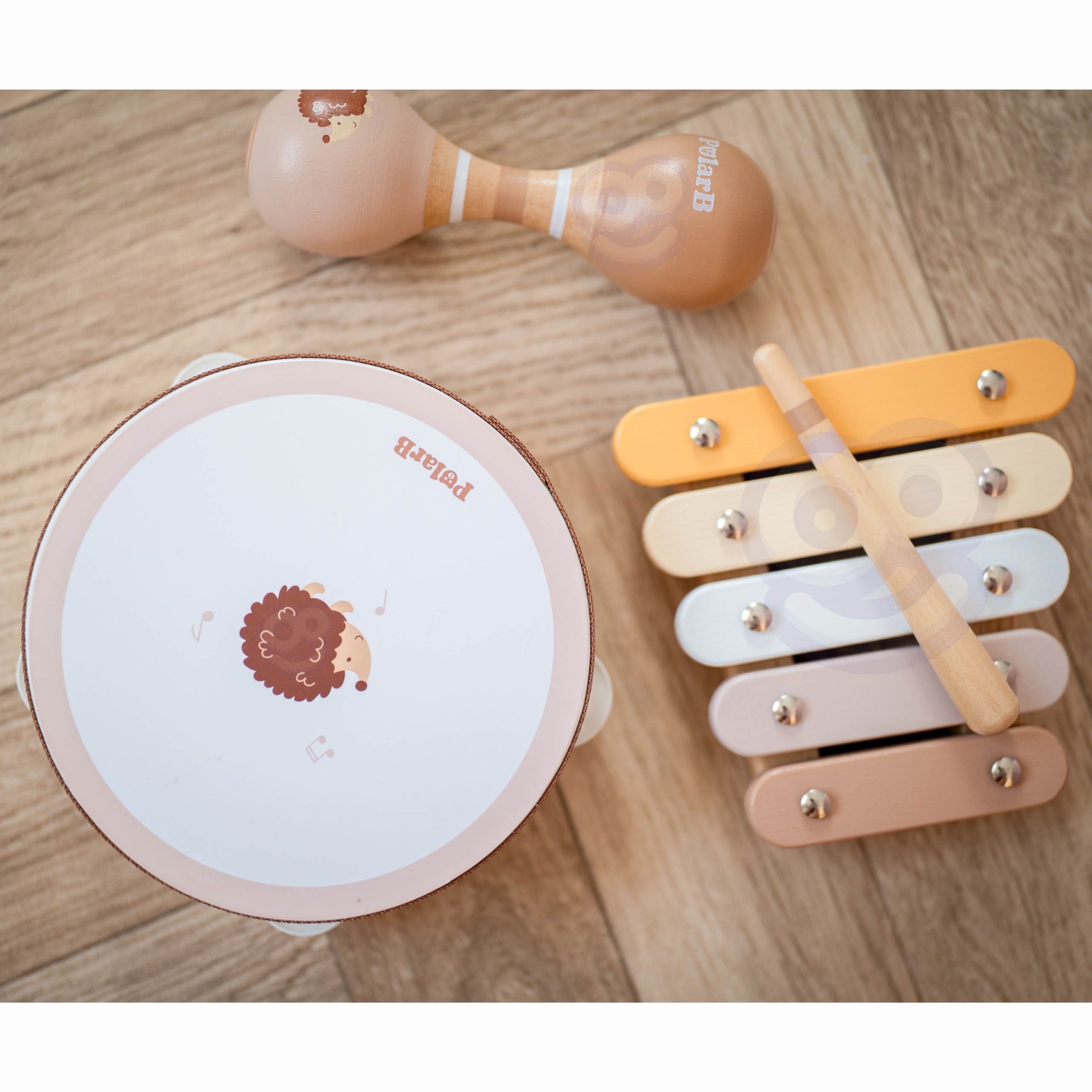 Polarb zestaw instrumentów muzycznych z jeżykiem