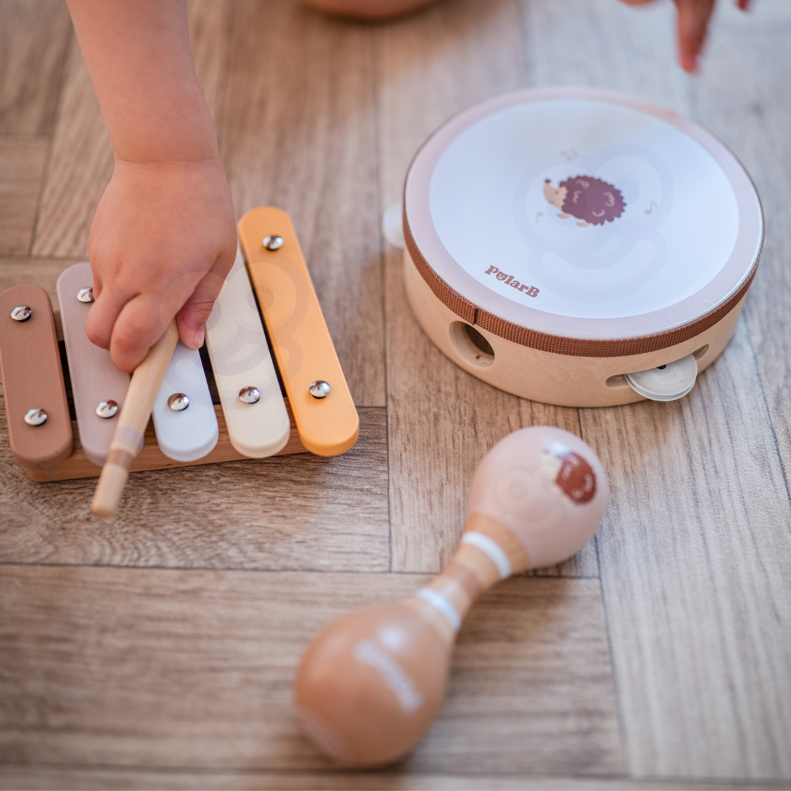Polarb zestaw instrumentów muzycznych z jeżykiem